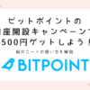 bitpoint-promo-code-campaign