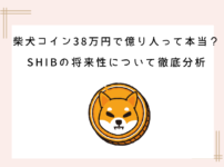 shibainucoin-380thousand-billionaire